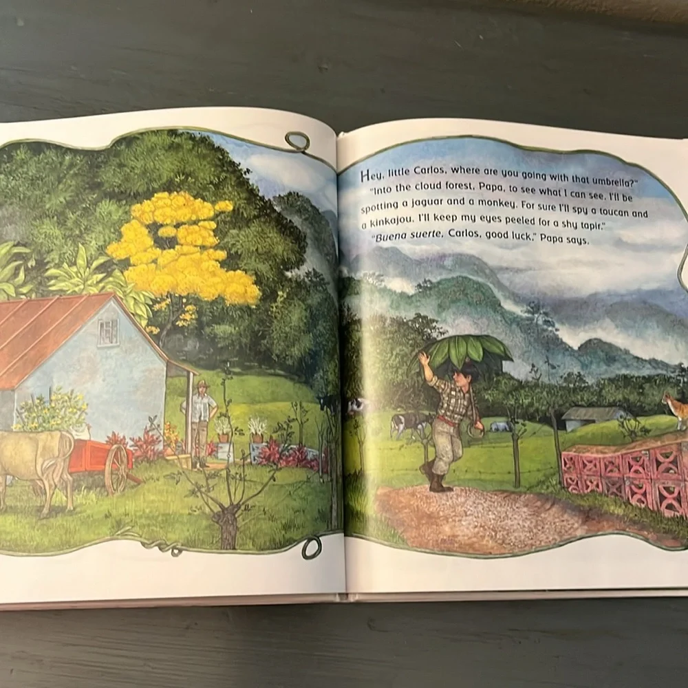 The Umbrella Hardcover – Picture Book  Sept. 2004 English edition  by Jan Bret